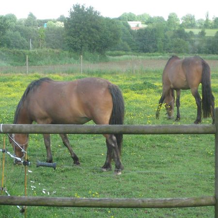 Les Croisettes Bed and Breakfast Le Pin  Exteriör bild