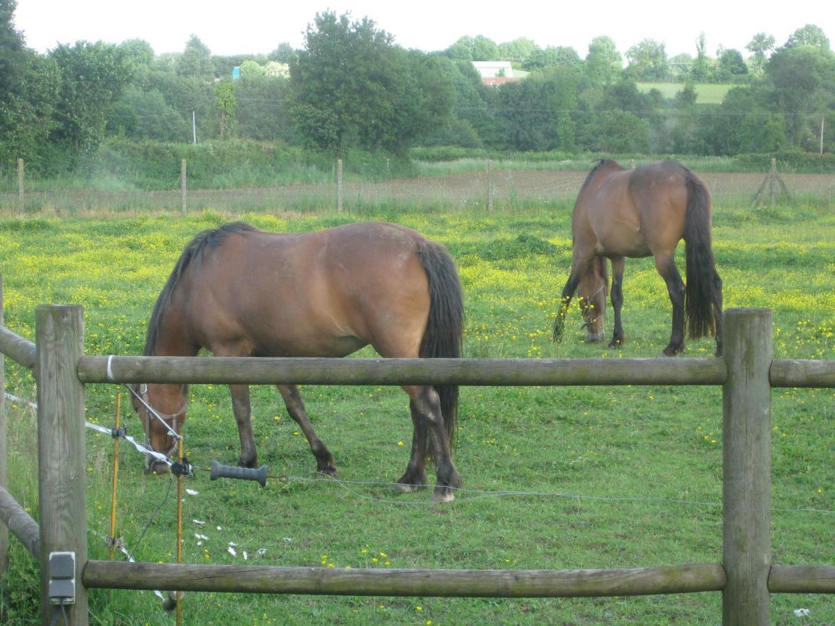 Les Croisettes Bed and Breakfast Le Pin  Exteriör bild